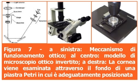Microscopio ottico-Professione Oculista-ECM-MEI